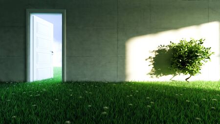 concrete wall with grass and flower floor in empty room and sunlight shadow effect on wall realistic 3D renderingの写真素材