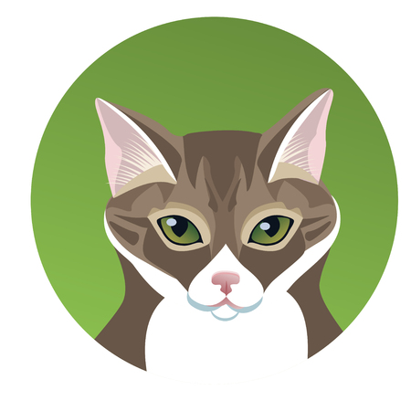 Portrait of brown striped cat face in circle. Cat's flat realistic head on greenのイラスト素材