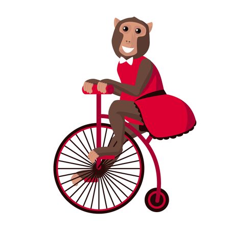 Circus monkey on bicycleのイラスト素材