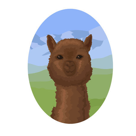 Alpaca portraitのイラスト素材