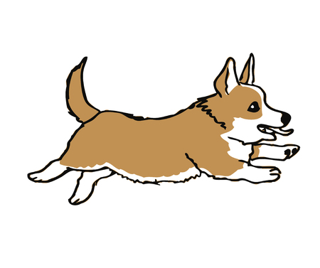 Hand drawn welsh corgi Pembroke funny dog on white ink drawn funny dog graphic dog sketches art welsh corgi Pembroke smiling dogのイラスト素材