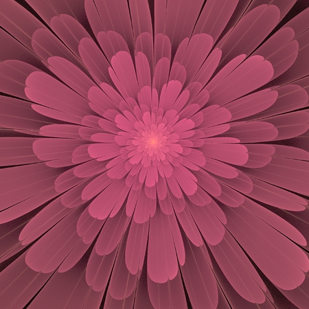 This is pink fractal, that look as pink flower.の写真素材