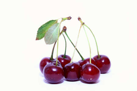 On this photo is sour cherry with isolated background.の写真素材
