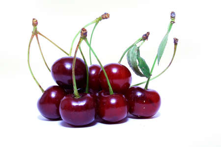 On this photo is sour cherry with isolated background.の写真素材