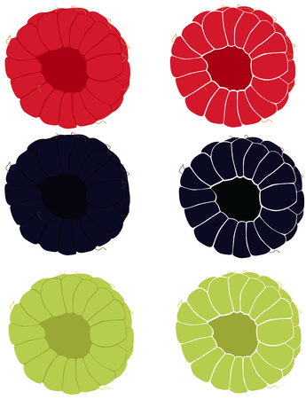 On this picture are two maturely raspberries, two riped blackberries and unriped berries.のイラスト素材