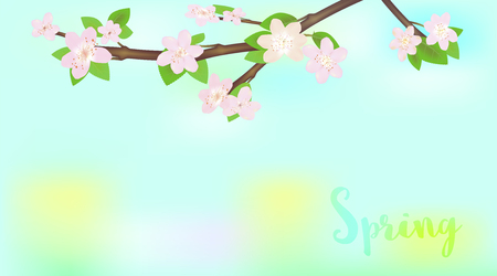 Spring background of branch with blossomsのイラスト素材