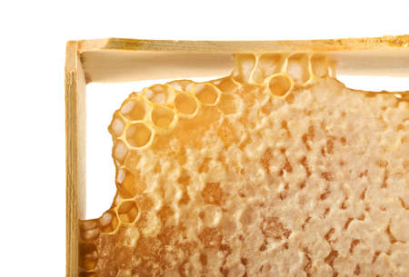 Honeycomb and frame close-upの写真素材