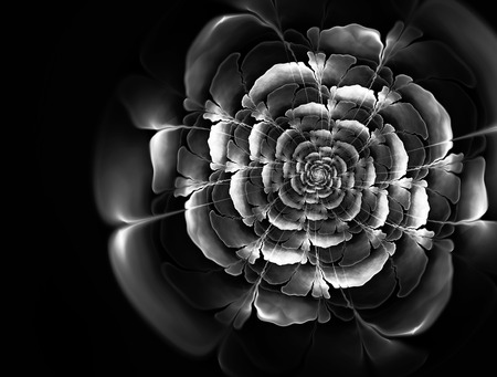 Abstract fractal black and white background with a picture of a flowerの写真素材