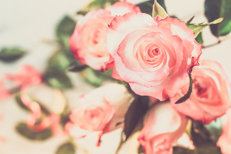 Bouquet of rose flowersの写真素材