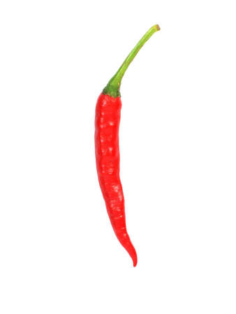 Paprika on white background の写真素材