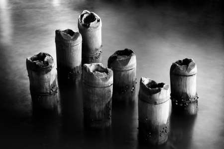 black and white picture bamboos in waterの写真素材