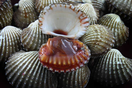 Cockles for saleの写真素材