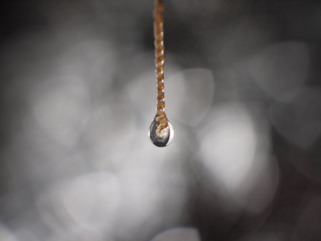 a beautiful single water drop in nature