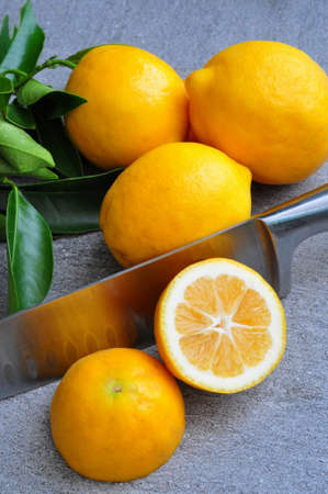 Lemons organic, whole and cut on a chefs slate cutting board, showing knife and citrus leaves....
