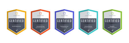 Certified logo badge. Criteria level digital certificate with shield logo line. vector illustration icon secure template.のイラスト素材