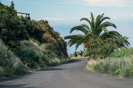 Mountain Road in Las Tricia in the north of La Palmaの写真素材
