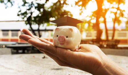 save piggy moneyの写真素材