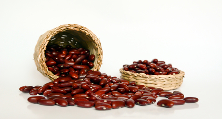 seedの写真素材
