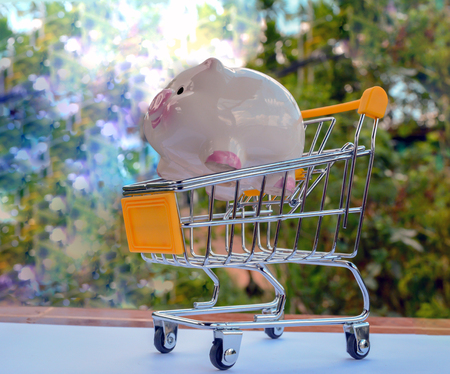 piggy bank with moneyの写真素材