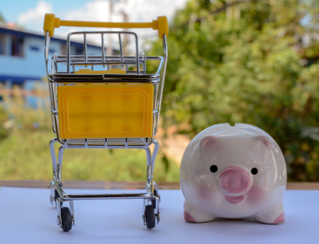 piggy save moneyの写真素材