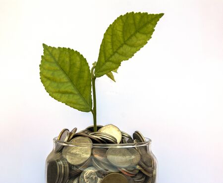 money coins with home, Saving for buy home concept, Coins in glass jar on blur background. money...