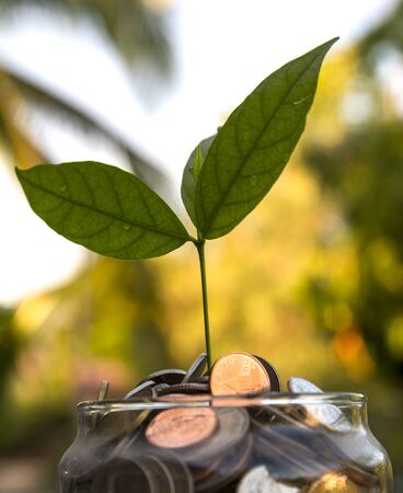 money coins with home, Saving for buy home concept, Coins in glass jar on blur background. money saving financial conceptの写真素材