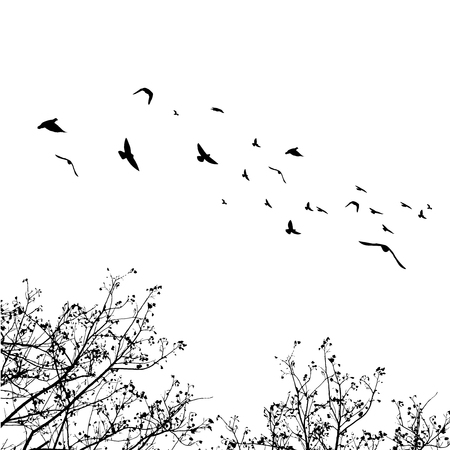Flying birds and branch silhouettes on white background. Vector illustration. isolated bird flying and branch.のイラスト素材