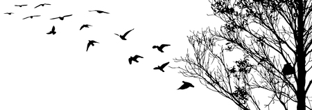 Flying birds and branch silhouettes on white background. Vector illustration. isolated bird flying and branch.のイラスト素材