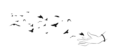 Flying birds and hand silhouettes on white background. Vector illustration. isolated bird flying and hand. drawing anatomy.のイラスト素材