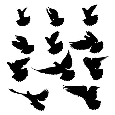 Flying birds silhouettes on white background. Vector illustration. isolated bird flying.のイラスト素材