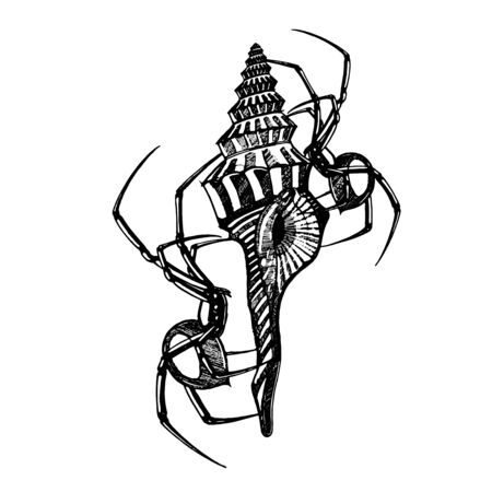 spider and sea shell illustration. handdraw vector illustrator. line art. tattoo design. symbol and sign vector. isolated white background.のイラスト素材
