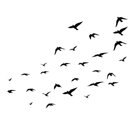 Flying birds silhouettes on white background. Vector illustration. isolated bird flying. tattoo design.のイラスト素材