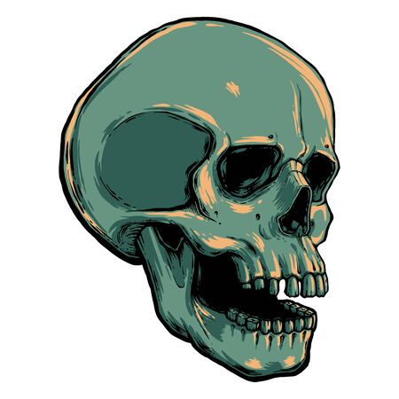 human skull vector illustration. Hand draw line art anatomically correct human skull isolated vector illustration. tattoo design. symbol of life.のイラスト素材