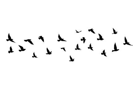 Flying birds silhouettes on white background. Vector illustration. isolated bird flying. tattoo design.のイラスト素材