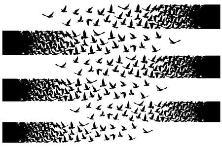 Flying birds silhouettes on white background. Vector illustration. isolated bird flying. tattoo design.のイラスト素材