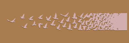 Flying birds silhouettes on white background. Vector illustration. isolated bird flying. tattoo design.のイラスト素材