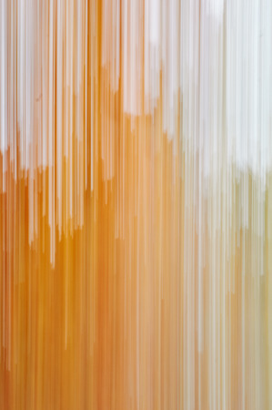 natural motion blurred colorful tree in sunny forest, abstract autumn natural backgroundの写真素材