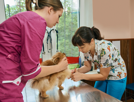 Veterinary treatment