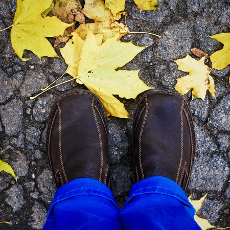 Legs on autumn leavesの写真素材