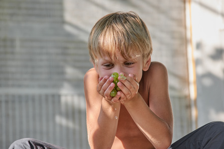 Boy with bunch of grapesの写真素材