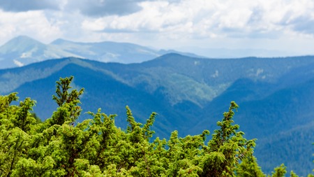 Carpathian mountains hillsの写真素材