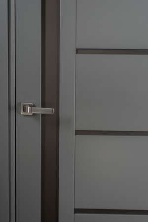 Modern gray door with metal handle in new appartment