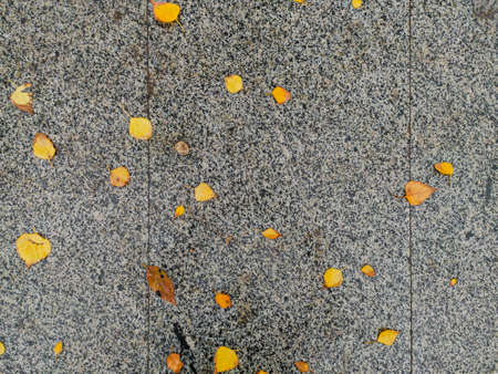 Wet fallen autumn leaves on granite stone groundの写真素材