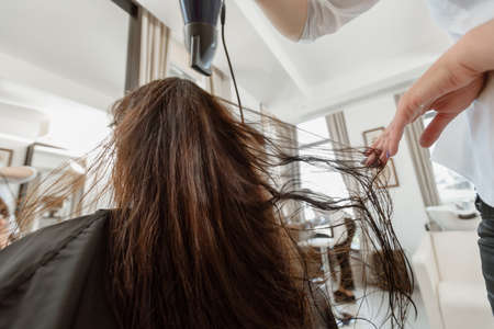 Professional hair stylist using dryer on female wet hair in beauty salonの写真素材