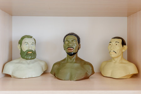 Dnipro, Ukraine - April 23, 2019: Editorial bustes of representatives of caucasoid, mongoloid and negroid racesのeditorial素材