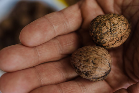 Cropped photo of two walnuts lying in male hand