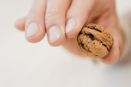 close up photo of male hand showing whole brown walnut