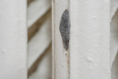 Closeup of old cast iron radiator with fixed hole.の写真素材