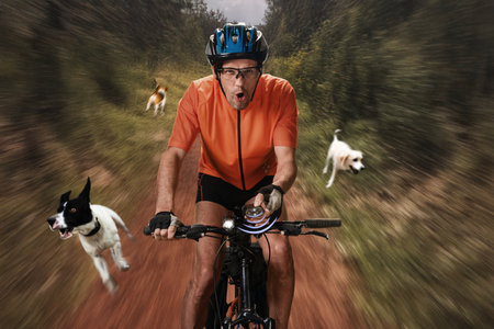 Angry stray dogs attacking scared man with taser on bicycle. Stray dog repeller in use by a cyclist, ensuring safe riding in areas with potential canine threatsの写真素材