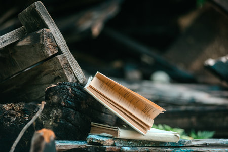 Open book lying on ruins of destroyed wooden house. Burnt book in ruins, symbol of lost knowledge and consequences of fire disastersの写真素材
